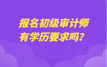 報(bào)名初級(jí)審計(jì)師有學(xué)歷要求嗎？