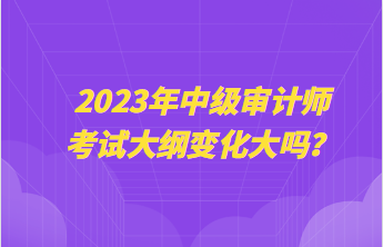 2023年中級審計師考試大綱變化大嗎？