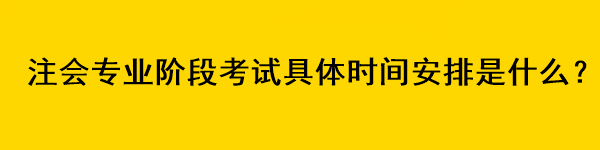 注會(huì)專業(yè)階段考試具體時(shí)間安排是什么？