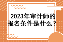 2023年審計師的報名條件是什么？