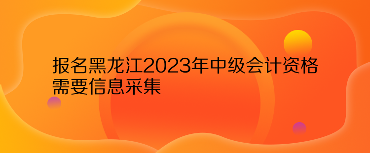 報(bào)名黑龍江2023年中級會(huì)計(jì)資格需要信息采集