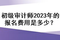 初級審計(jì)師2023年的報(bào)名費(fèi)用是多少？