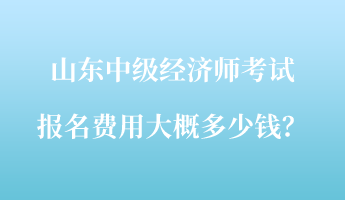 山東中級經濟師考試報名費用大概多少錢？