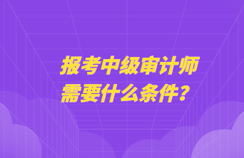 報考中級審計師需要什么條件？