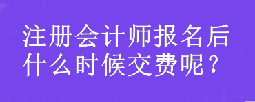 注冊會計師報名后什么時候交費呢？