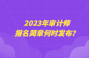 2023年審計(jì)師報(bào)名簡(jiǎn)章何時(shí)發(fā)布？