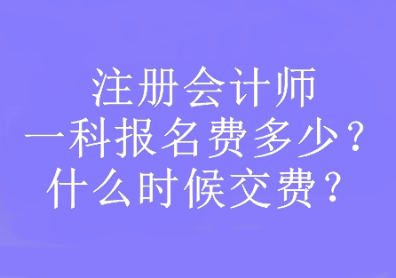 注冊(cè)會(huì)計(jì)師一科報(bào)名費(fèi)多少？什么時(shí)候交費(fèi)？