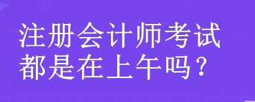 注冊會計師考試都是在上午嗎？