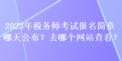 2023年稅務(wù)師考試報名簡章哪天公布？去哪個查看？