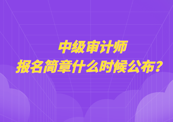 中級審計師報名簡章什么時候公布？