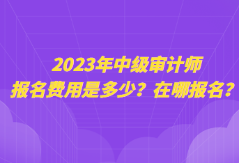 2023年中級(jí)審計(jì)師報(bào)名費(fèi)用是多少？在哪報(bào)名？