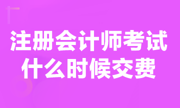 現(xiàn)在可以交注冊(cè)會(huì)計(jì)師報(bào)名費(fèi)嗎？