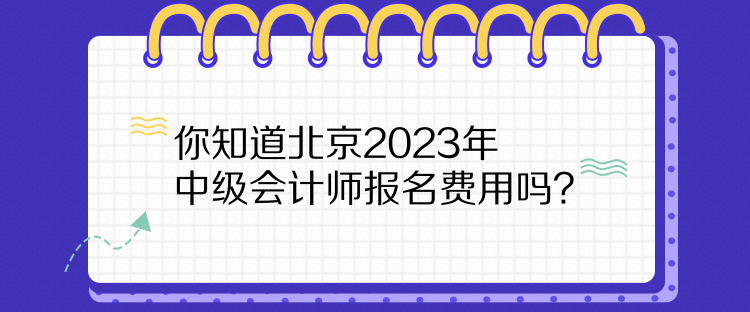 你知道北京2023年中級會計師報名費用嗎？