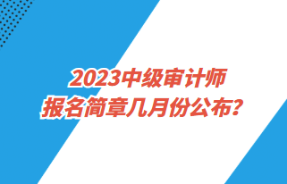 2023中級審計(jì)師報名簡章幾月份公布？