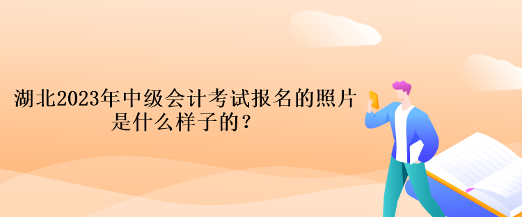 湖北2023年中級會計考試報名的照片是什么樣子的？