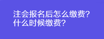 注會(huì)報(bào)名后怎么繳費(fèi)？什么時(shí)候繳費(fèi)？