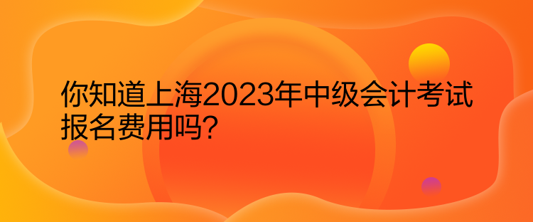 你知道上海2023年中級會計考試報名費用嗎？