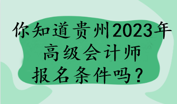 你知道貴州2023年高級(jí)會(huì)計(jì)師報(bào)名條件嗎？