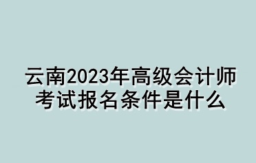 云南2023年高級(jí)會(huì)計(jì)師考試報(bào)名條件是什么？