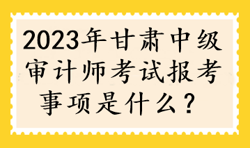 2023年甘肅中級審計師考試報考事項是什么？