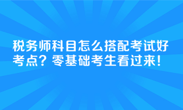 稅務(wù)師科目怎么搭配考試好考點(diǎn)？零基礎(chǔ)考生看過來！