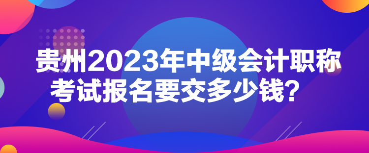 貴州2023年中級會計職稱考試報名要交多少錢？