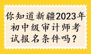 你知道新疆2023年初中級(jí)審計(jì)師考試報(bào)名條件嗎？