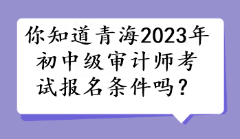 你知道青海2023年初中級審計師考試報名條件嗎？