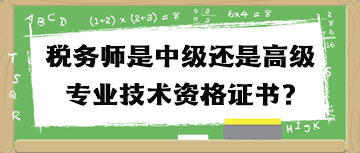 稅務(wù)師是中級(jí)還是高級(jí)專業(yè)技術(shù)資格證書(shū)