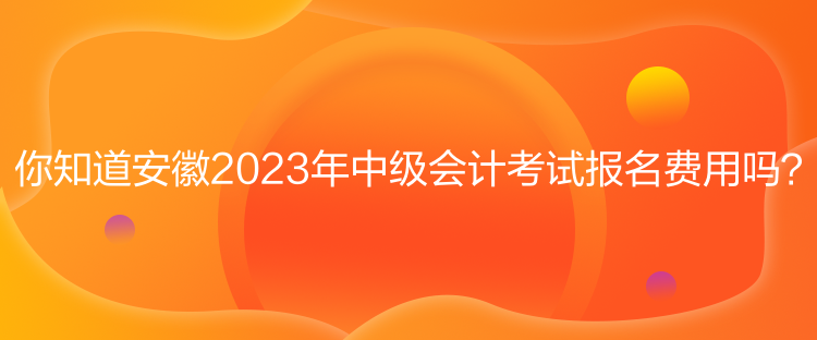 你知道安徽2023年中級會計考試報名費用嗎？