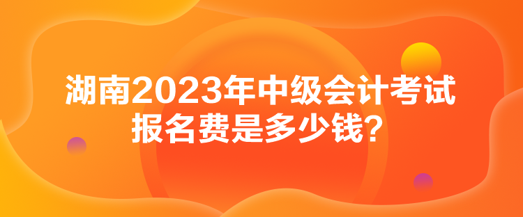 湖南2023年中級(jí)會(huì)計(jì)考試報(bào)名費(fèi)是多少錢？