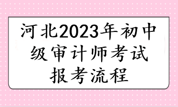 河北2023年初中級審計(jì)師考試報(bào)考流程