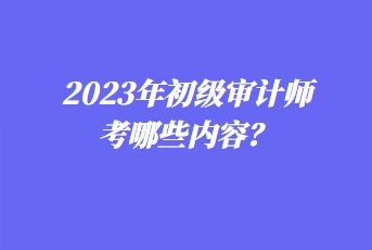 2023年初級審計師考哪些內(nèi)容？