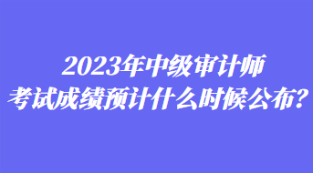 2023年中級(jí)審計(jì)師考試成績(jī)預(yù)計(jì)什么時(shí)候公布？