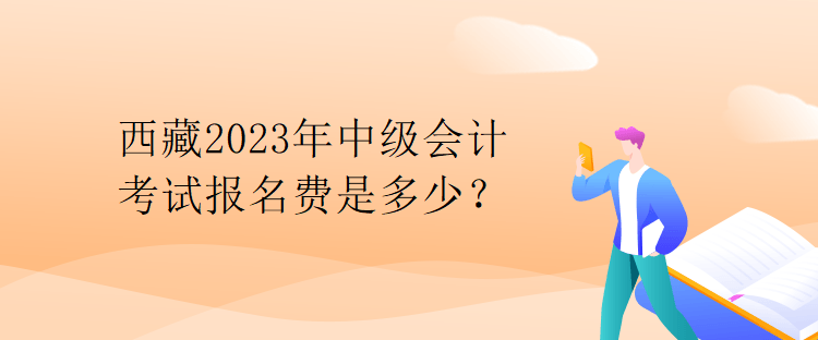 西藏2023年中級(jí)會(huì)計(jì)考試報(bào)名費(fèi)是多少？