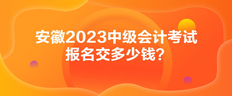 安徽2023中級(jí)會(huì)計(jì)考試報(bào)名交多少錢(qián)？