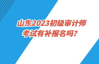 山東2023初級審計師考試有補報名嗎？