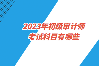 初級審計師和中級審計師考試安排一樣嗎？