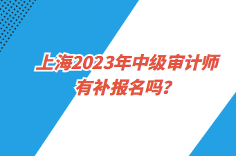 上海2023年中級(jí)審計(jì)師有補(bǔ)報(bào)名嗎？