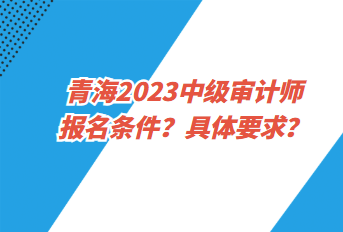 青海2023中級(jí)審計(jì)師報(bào)名條件？具體要求？