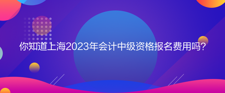 你知道上海2023年會(huì)計(jì)中級(jí)資格報(bào)名費(fèi)用嗎？