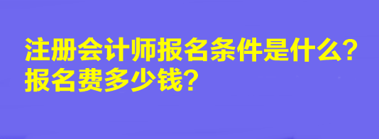 2023年注冊會計師報名條件是什么？報名費多少錢？