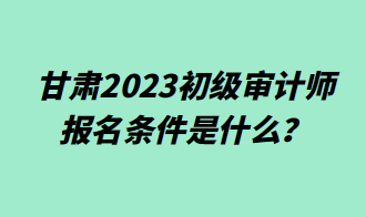 甘肅2023初級審計師報名條件是什么？