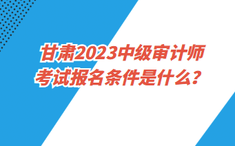 甘肅2023中級審計師考試報名條件是什么？