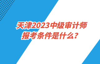 天津2023中級(jí)審計(jì)師報(bào)考條件是什么？