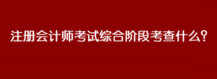 注冊(cè)會(huì)計(jì)師考試綜合階段考查什么？