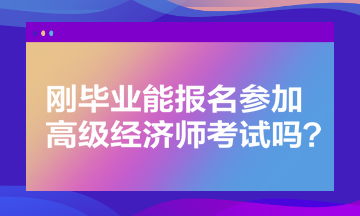 剛畢業(yè)能報名參加高級經(jīng)濟(jì)師考試嗎？