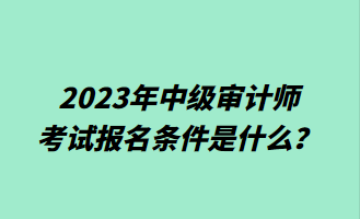 2023年中級(jí)審計(jì)師考試報(bào)名條件是什么？