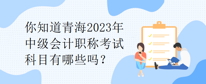 你知道青海2023年中級(jí)會(huì)計(jì)職稱考試科目有哪些嗎？