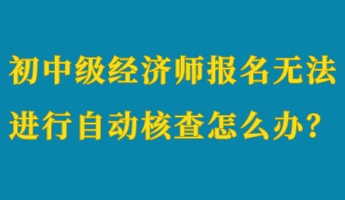 初中級(jí)經(jīng)濟(jì)師報(bào)名無法進(jìn)行自動(dòng)核查怎么辦？